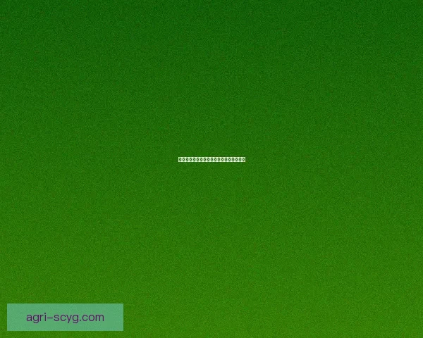 海角网址：连接无限可能，开启数字新纪元