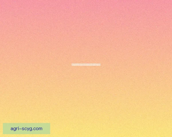 探秘数字暗流：午夜视频免费观赏的无限可能