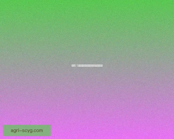 暗网51：潜入未知，解锁数字世界的隐秘脉络